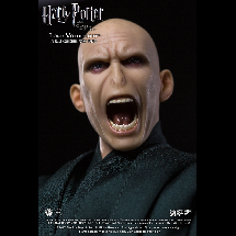 LORD VOLDEMORT 1: 8